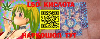 гашик Берёзовский