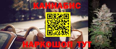 гашик Берёзовский