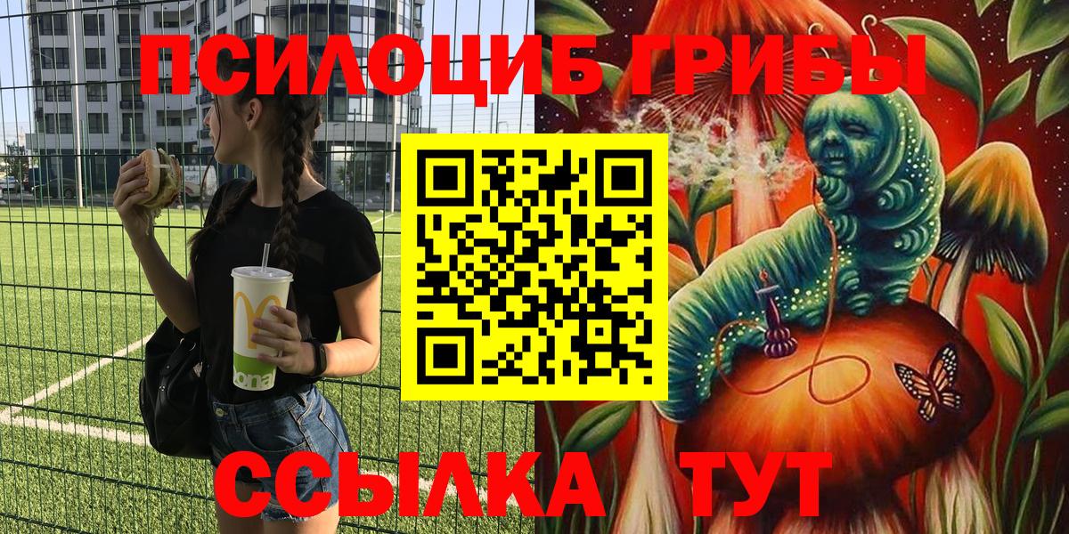 Киров  Псилоцибиновые грибы прущие грибы  Вход с VPN  Псилоцибиновые грибы мицелий 